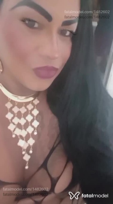 Acompanhante mulher trans morena (o) de olhos pretos em Salvador - Monique pantera