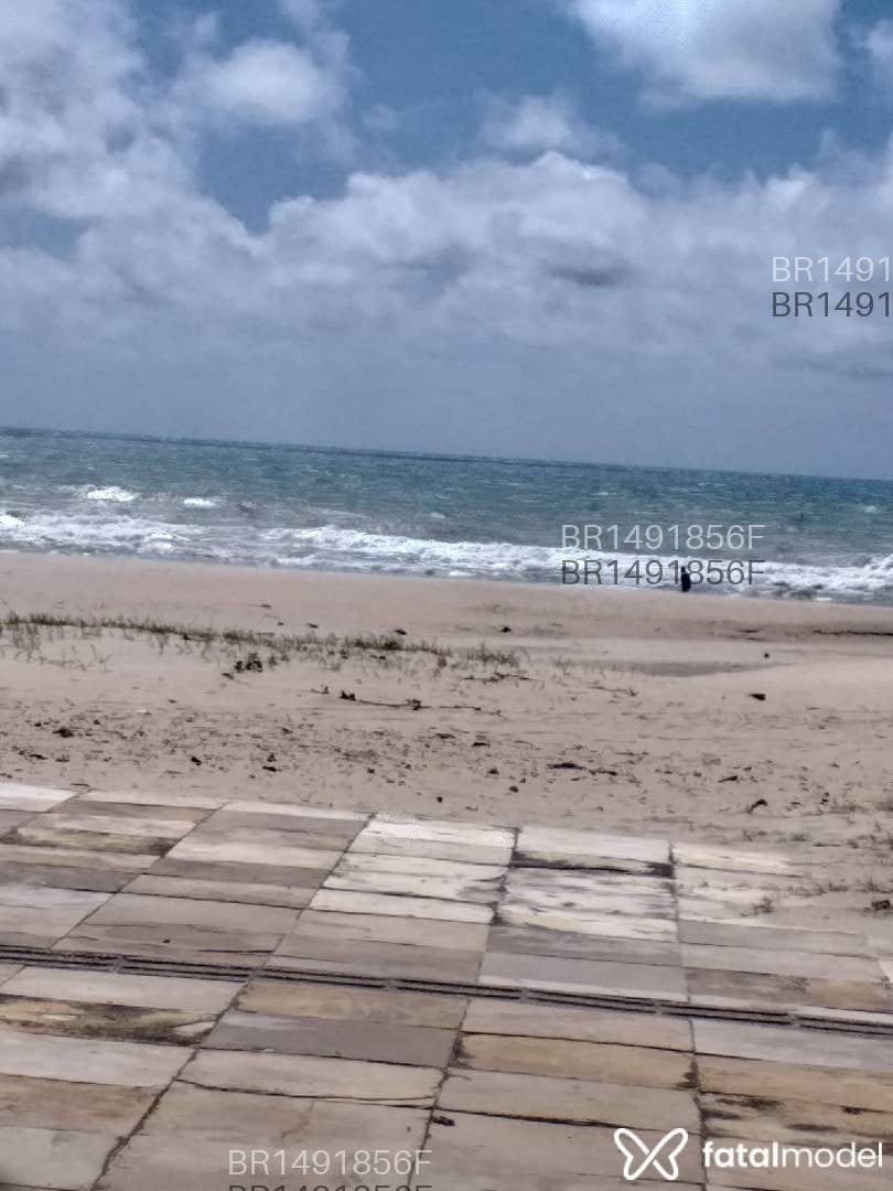 Acompanhante homem morena (o) de olhos mel em Fortaleza - Carlos