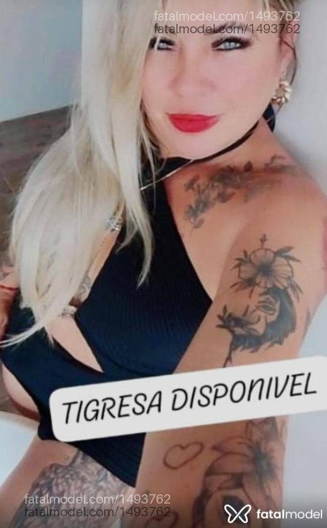 Imagem 10