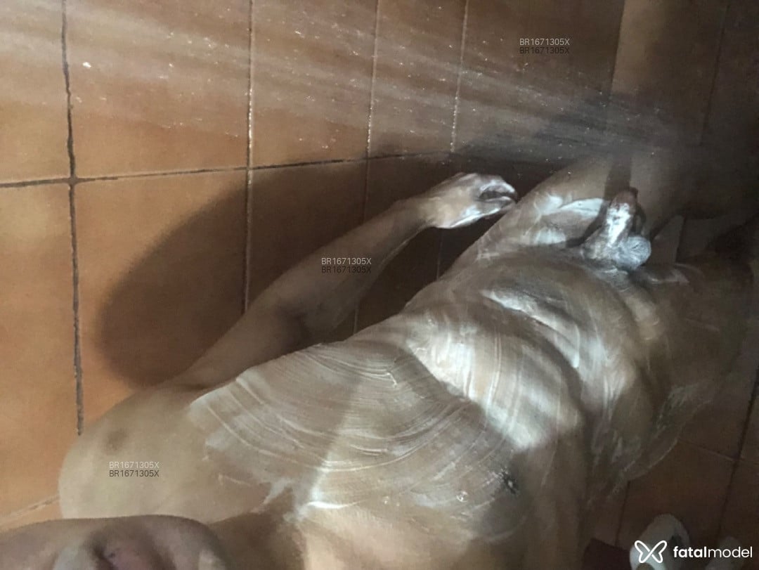 Acompanhante homem morena (o) de olhos castanhos em Caxias do Sul - Pietro