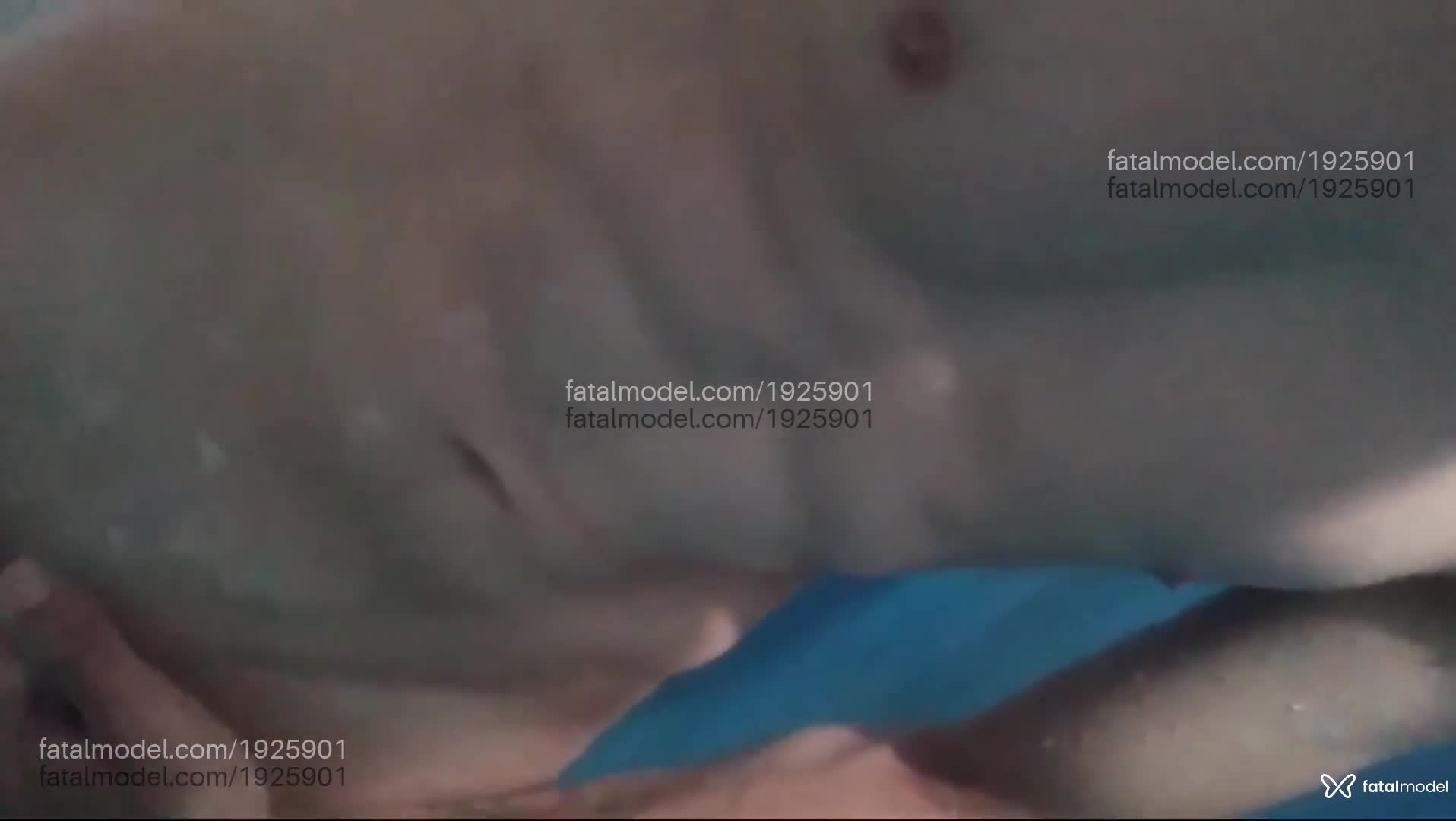 Acompanhante homem morena (o) de olhos castanhos em São José Acompanhante homem morena (o) de olhos castanhos em São José - Lucas