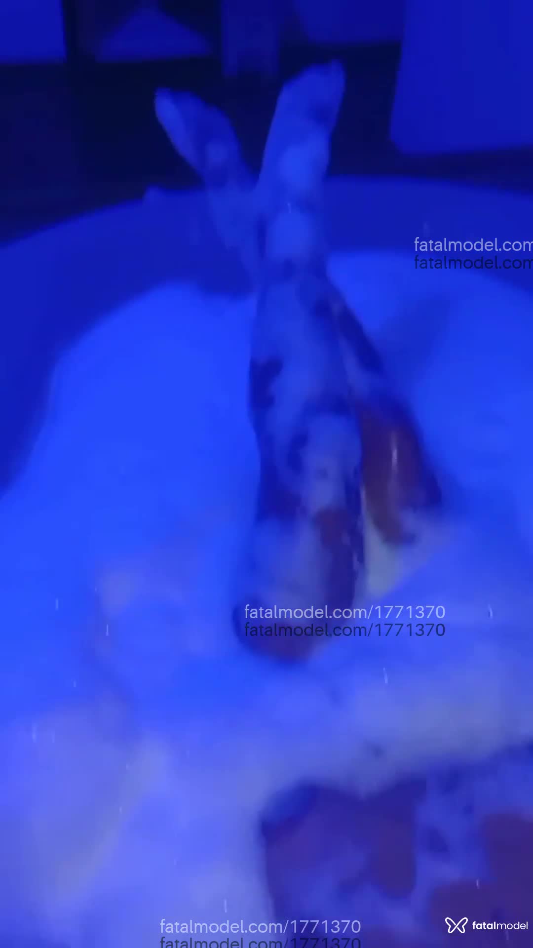 Acompanhante mulher com cabelo castanho de olhos castanhos em Farroupilha Acompanhante mulher com cabelo castanho de olhos castanhos em Farroupilha - Xoxotona
