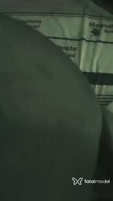 Acompanhante mulher trans com cabelo castanho de olhos castanhos - Mirella