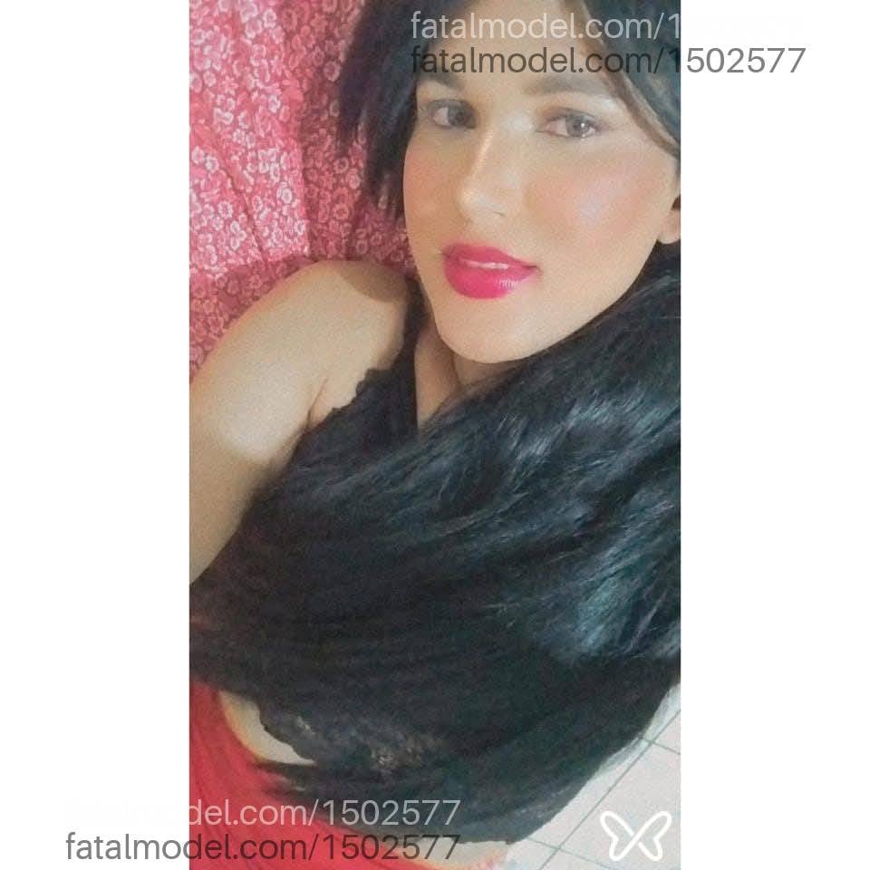 Acompanhante mulher trans com cabelo castanho de olhos castanhos em Birigui Acompanhante mulher trans com cabelo castanho de olhos castanhos em Birigui - Mirella