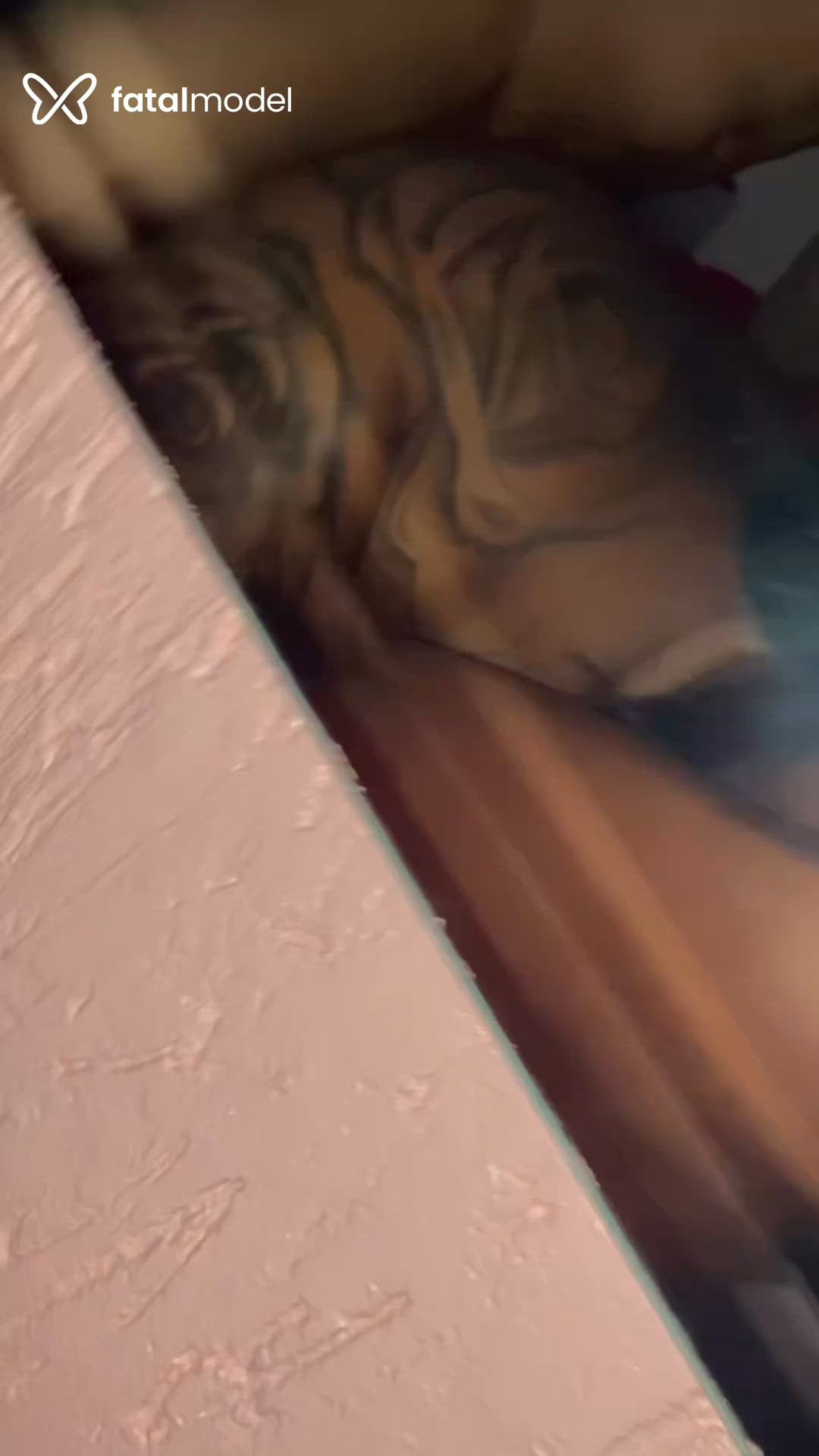 Acompanhante travesti com cabelo castanho de olhos pretos - Mel