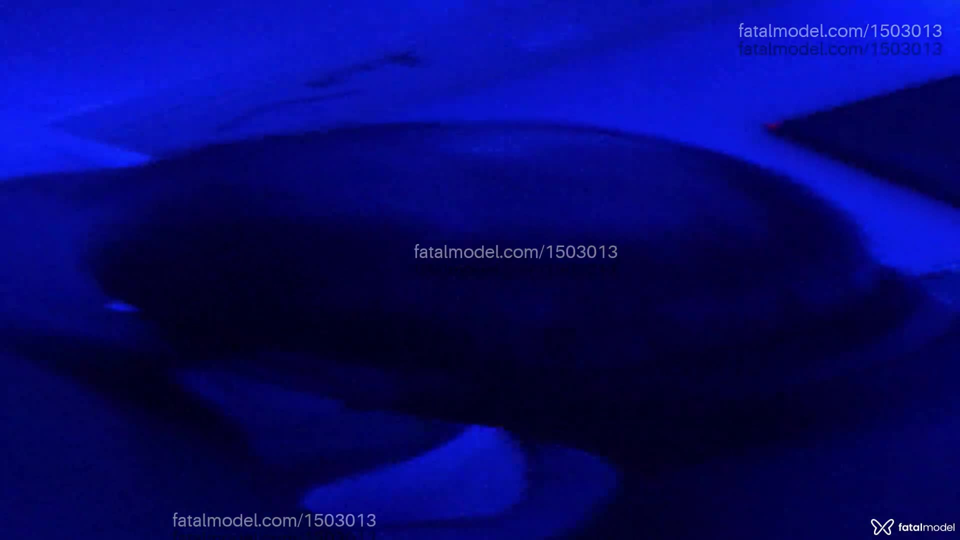 Acompanhante homem morena (o) de olhos pretos em Florianópolis - Nathan
