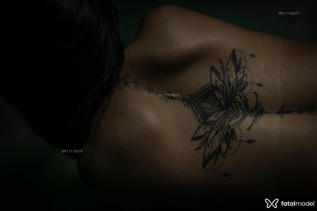 Imagem 6