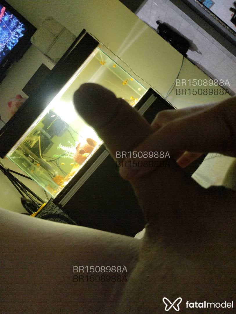 Acompanhante travesti morena (o) de olhos verdes em Araraquara - Gabriela