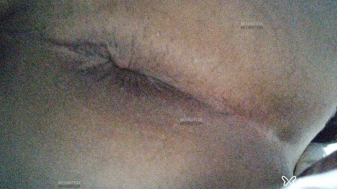Acompanhante travesti morena (o) de olhos pretos em Araçatuba - Brunella Bismark