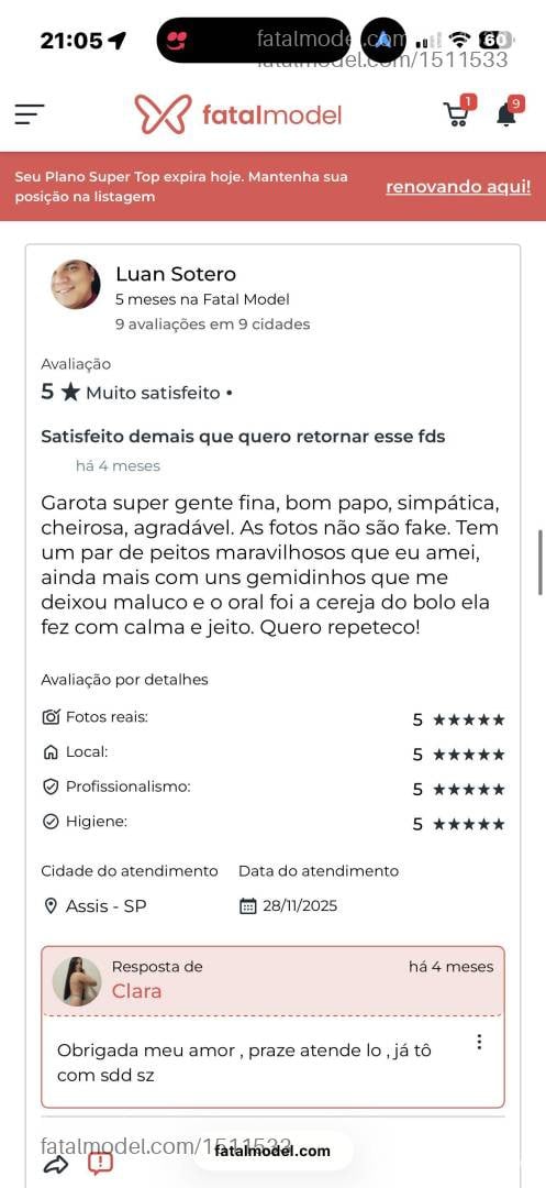 Acompanhante mulher com cabelo castanho de olhos castanhos - Clara Acompanhante mulher com cabelo castanho de olhos castanhos - Clara