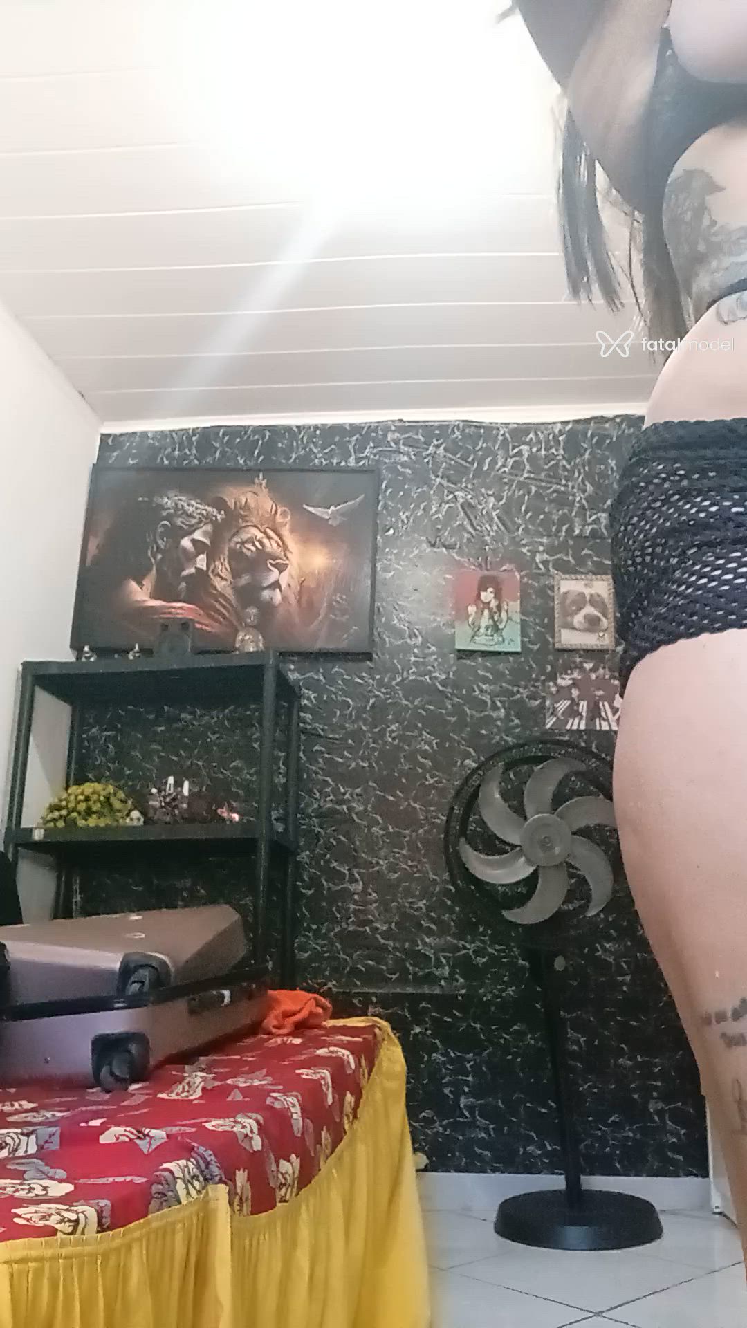 Vídeo 12