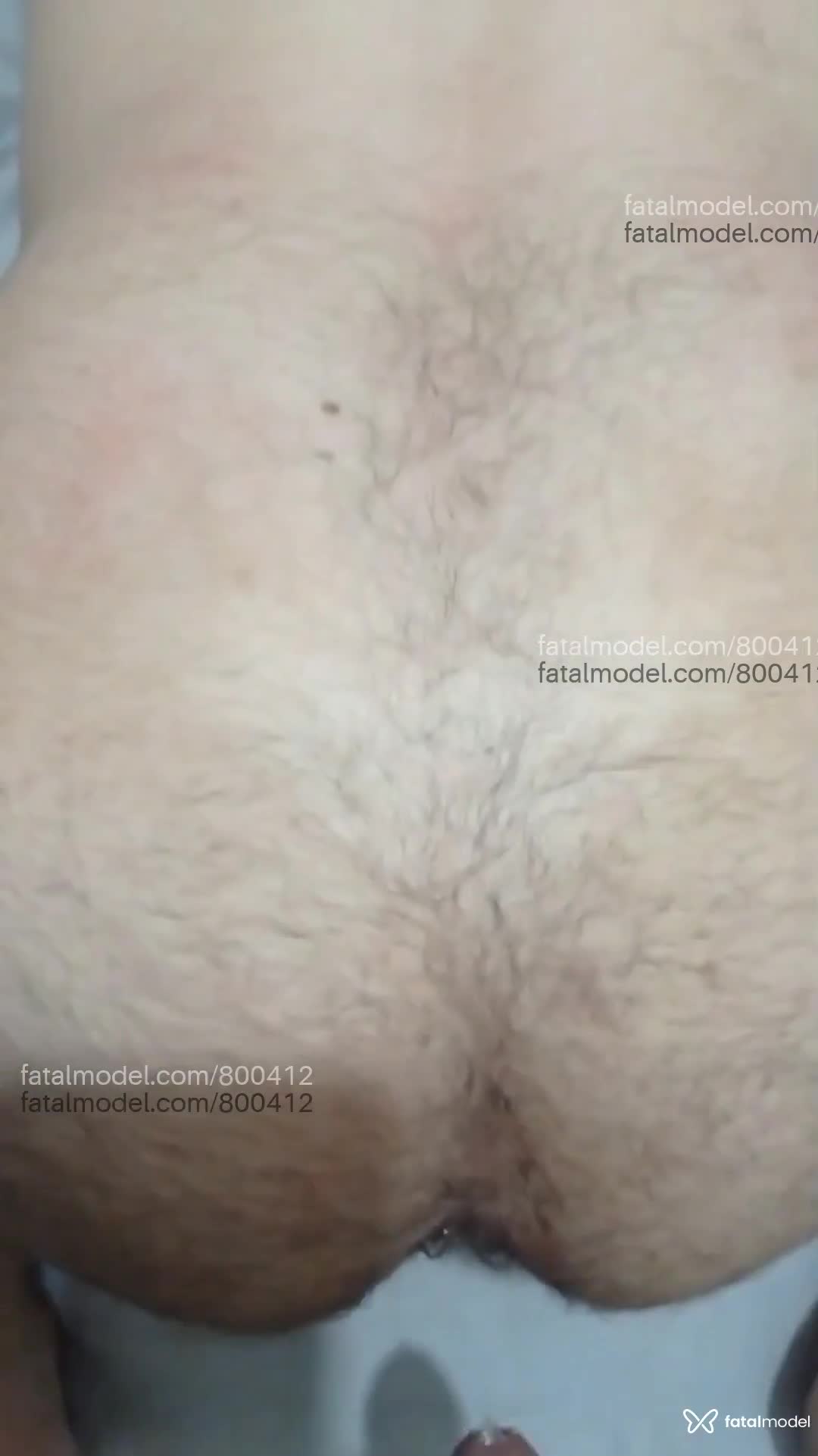 Acompanhante travesti morena (o) de olhos castanhos - BRUNNA SANTORO Acompanhante travesti morena (o) de olhos castanhos - BRUNNA SANTORO