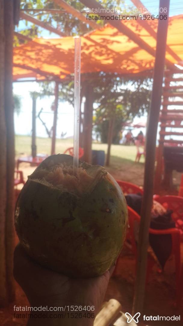 Acompanhante travesti morena (o) de olhos pretos em Presidente Epitácio - Zamel Velásquez