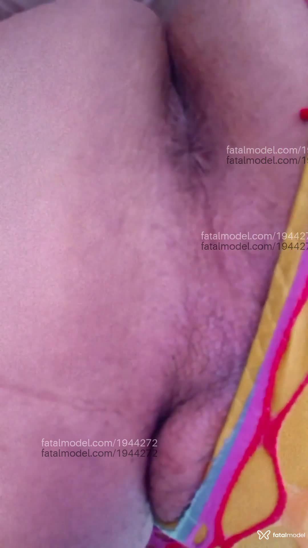 Acompanhante mulher trans com cabelo castanho de olhos castanhos em Virtual Acompanhante mulher trans com cabelo castanho de olhos castanhos em Virtual - Taylla