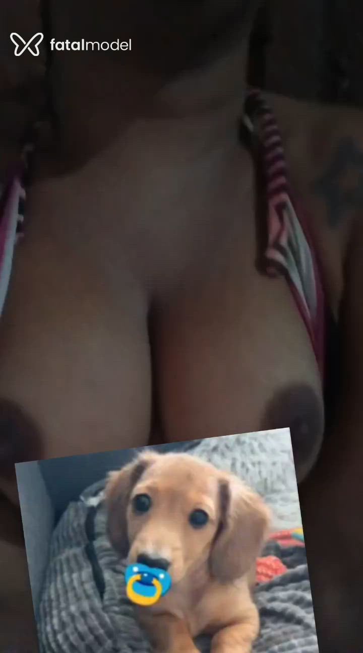 Acompanhante mulher trans ruiva (o) de olhos mel - Lorena oliveira