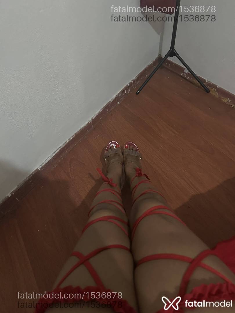 Imagem 8