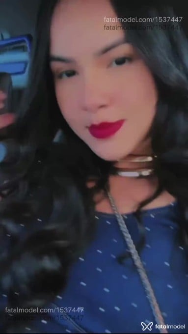 Acompanhante mulher morena (o) de olhos castanhos em Alta Floresta - Sophia Cavalcanti