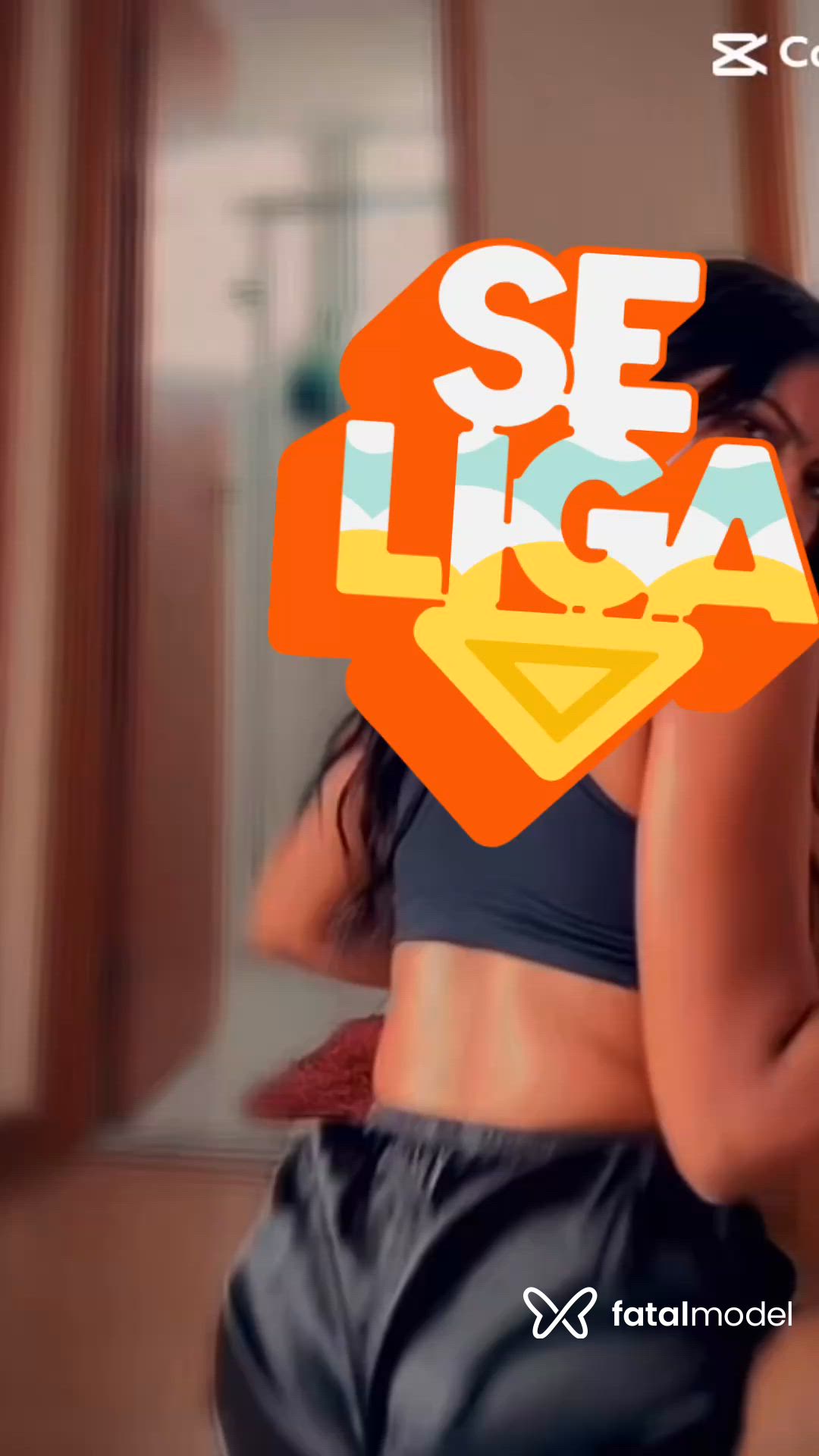 Vídeo 6