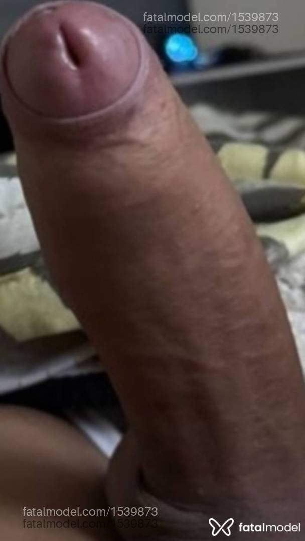 Acompanhante mulher trans morena (o) de olhos castanhos - Meel Silva