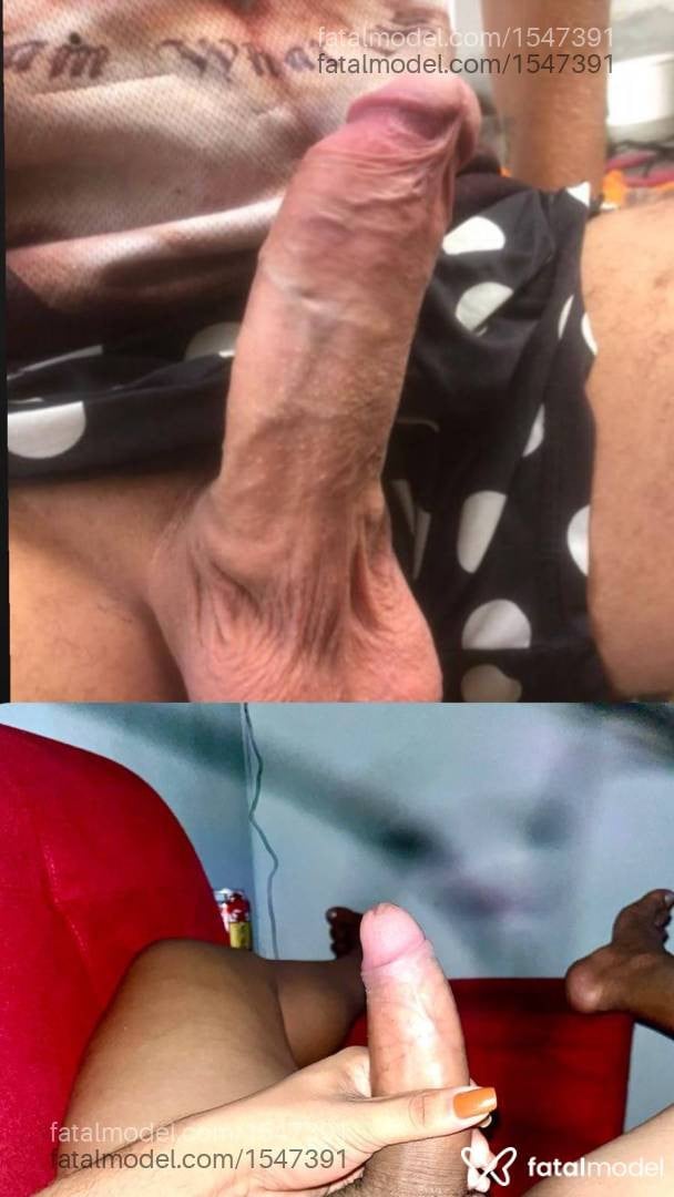 Acompanhante travesti morena (o) de olhos castanhos em Goiânia - Bellatrans