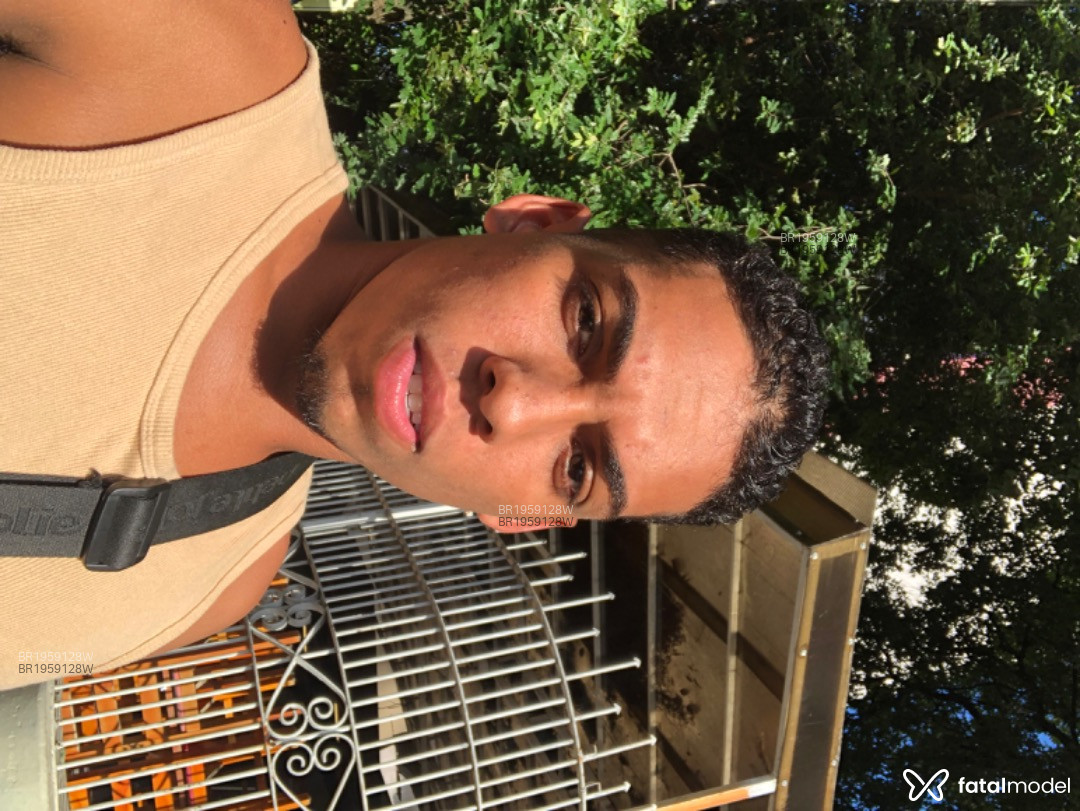 Acompanhante homem com cabelo castanho de olhos castanhos em Virtual - Lucas Baianinho
