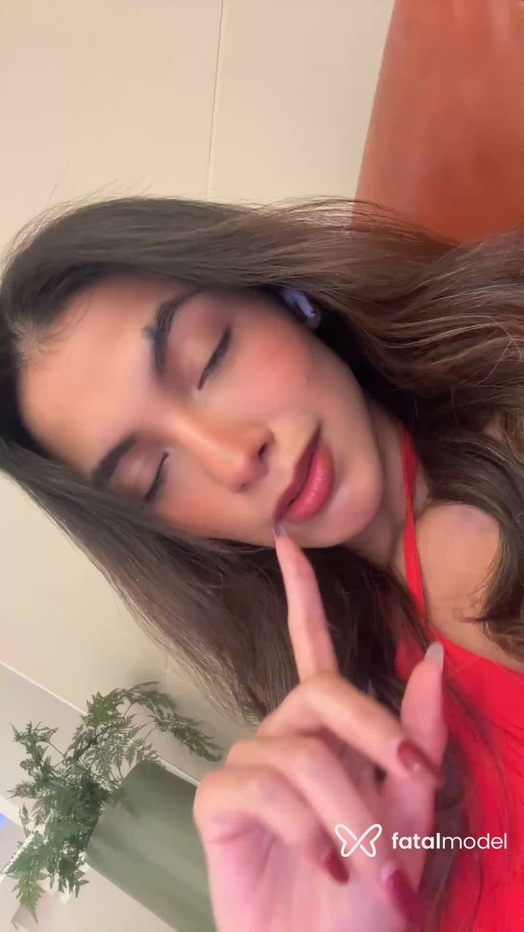 Vídeo 2
