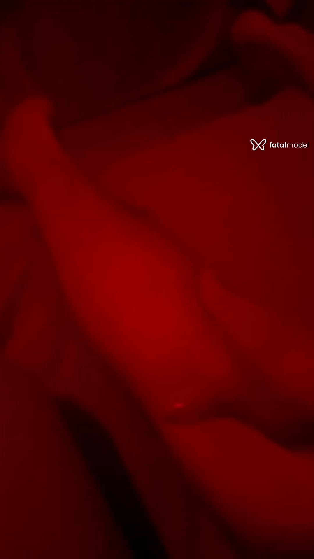 Vídeo 3