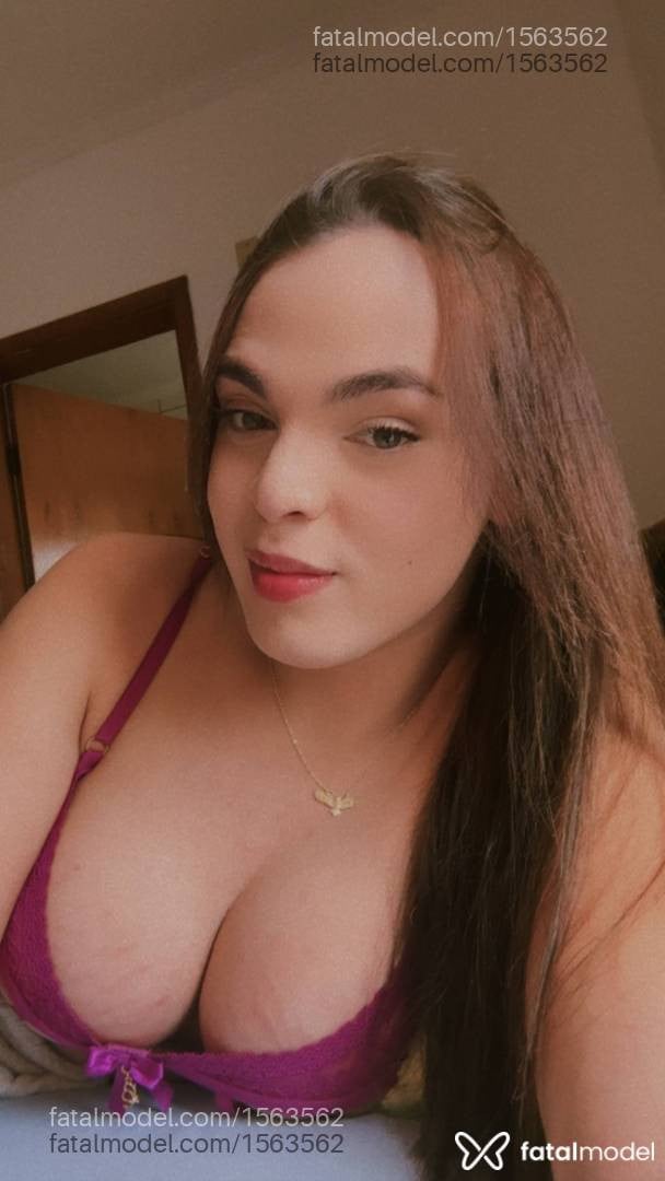 Acompanhante travesti morena (o) de olhos verdes em São José do Rio Preto Acompanhante travesti morena (o) de olhos verdes em São José do Rio Preto - Larissa Ribeiro