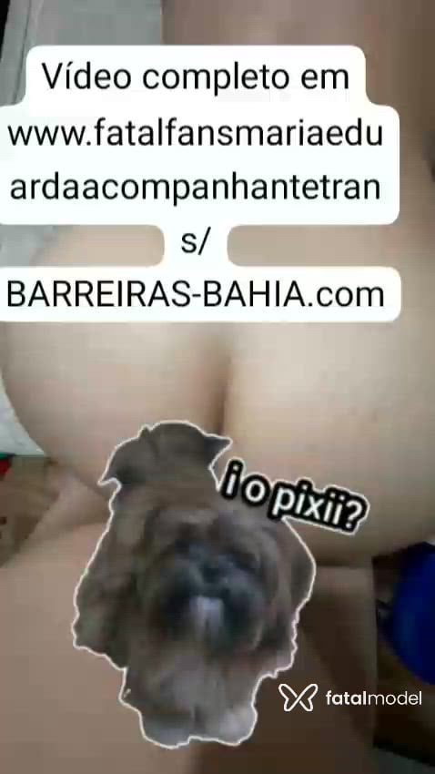 Vídeo 7