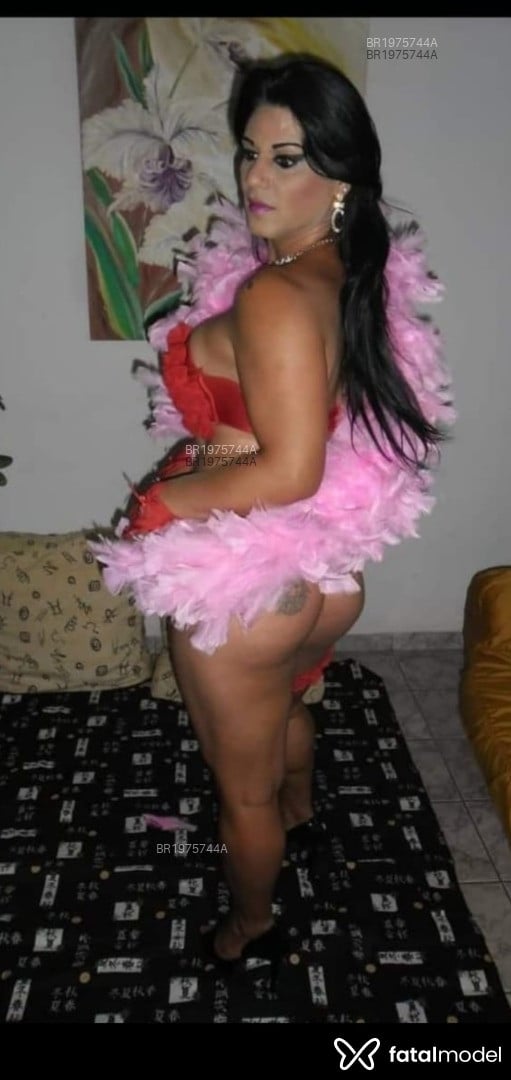 Imagem 10