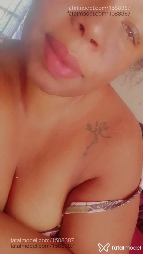 Acompanhante mulher morena (o) de olhos castanhos em Governador Valadares - Pérola Negra