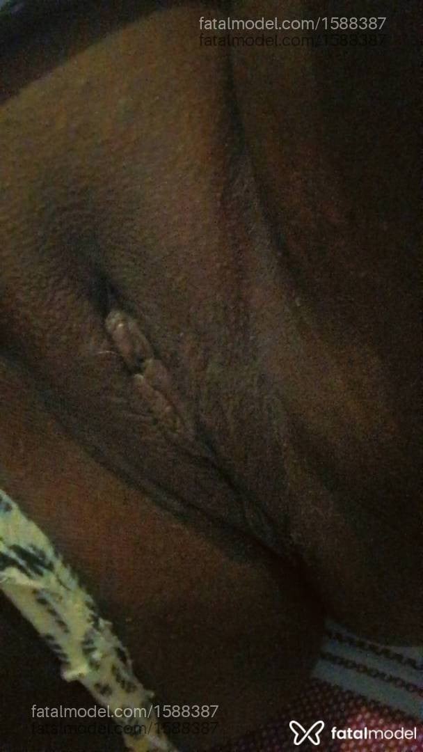 Acompanhante mulher morena (o) de olhos castanhos - Pérola Negra