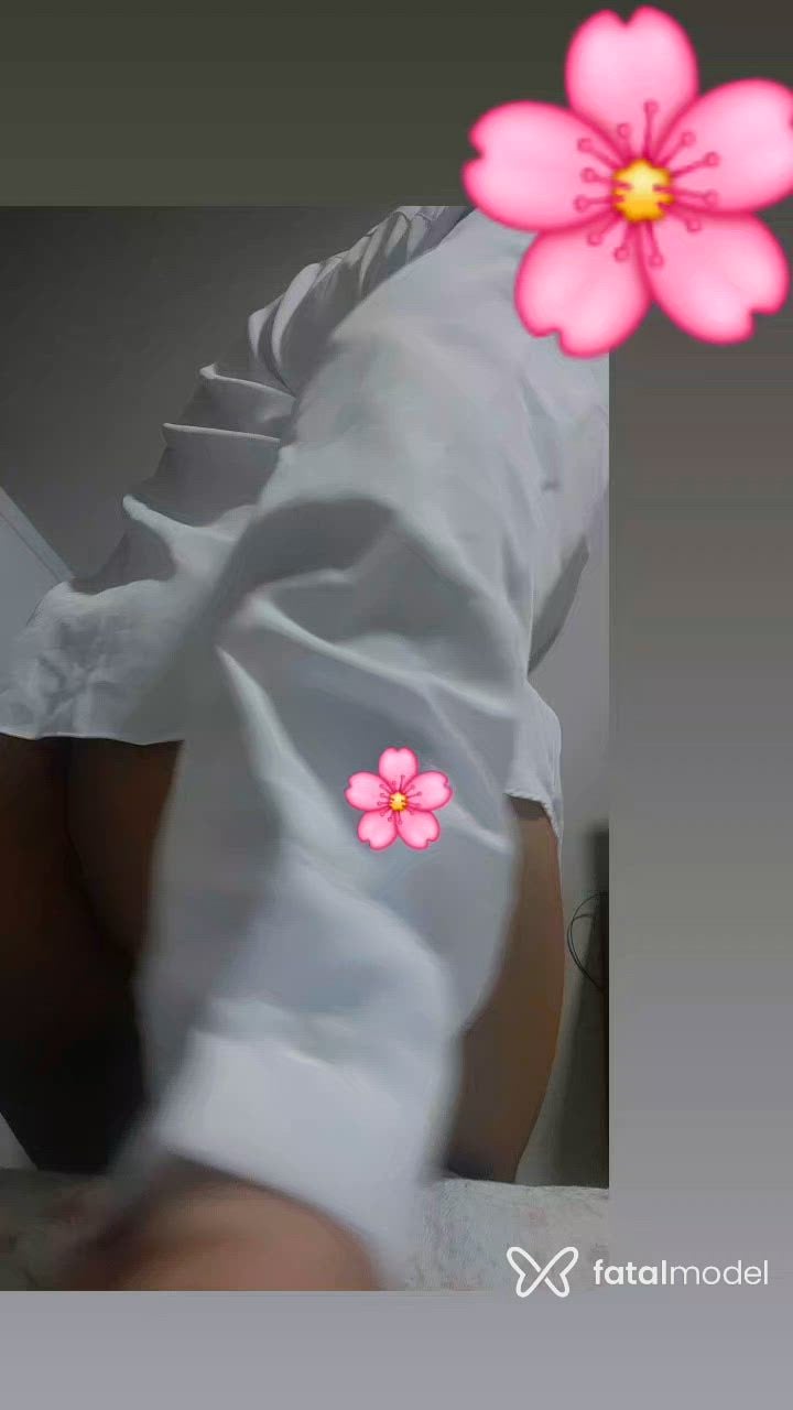 Acompanhante mulher morena (o) de olhos castanhos - Latifa