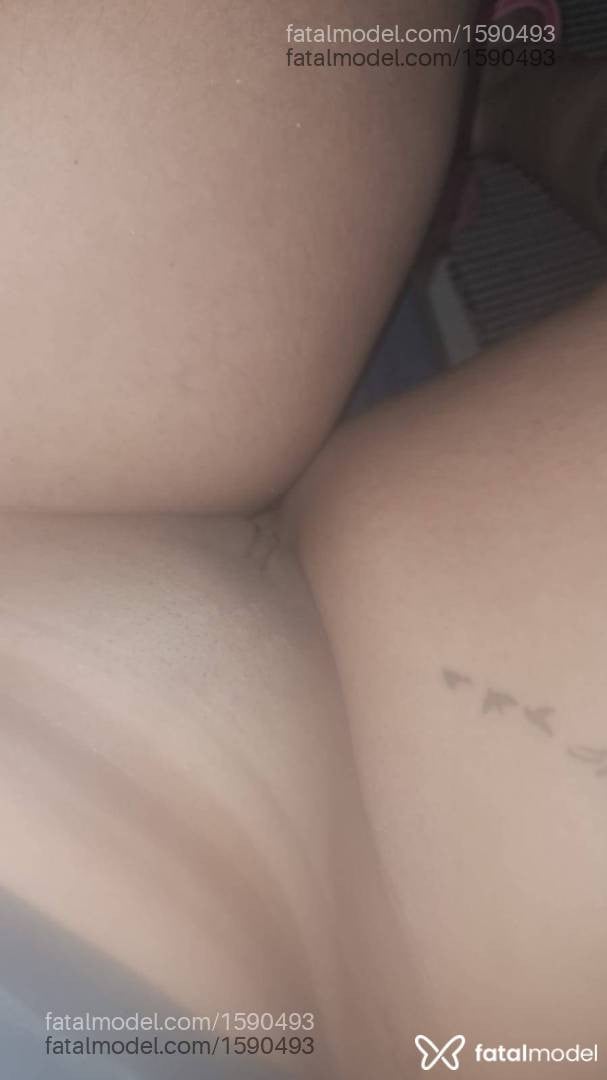 Acompanhante mulher morena (o) de olhos pretos - Gaby Monteiro