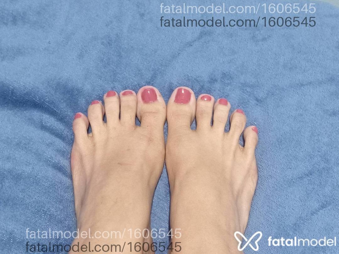 Acompanhante mulher com cabelo colorido de olhos castanhos em Barretos - Paloma