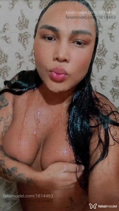 Acompanhante travesti com cabelo castanho de olhos pretos em Uberlândia - Brenda
