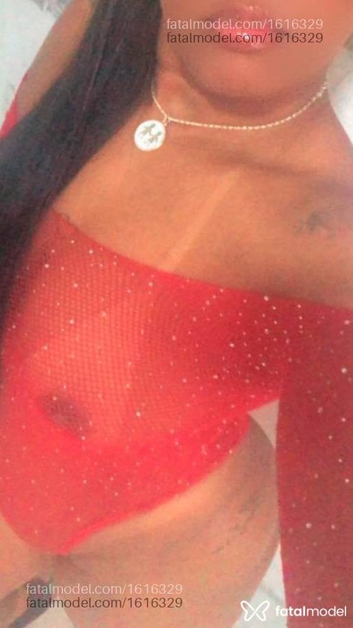Acompanhante mulher com cabelo castanho de olhos castanhos - Livia Schneider