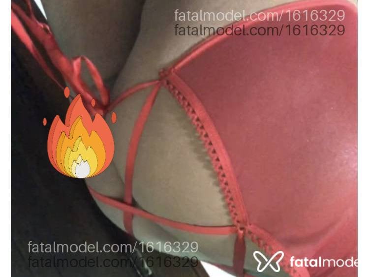 Acompanhante mulher com cabelo castanho de olhos castanhos - Livia Schneider