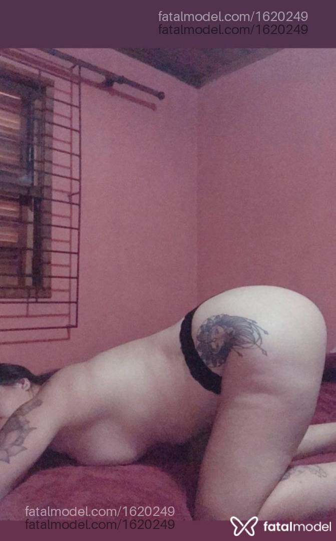 Imagem 3