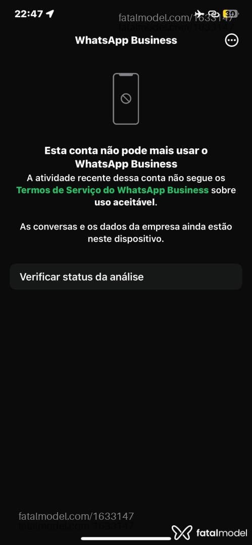 Acompanhante mulher trans com cabelo castanho de olhos castanhos - Isadora Duarte