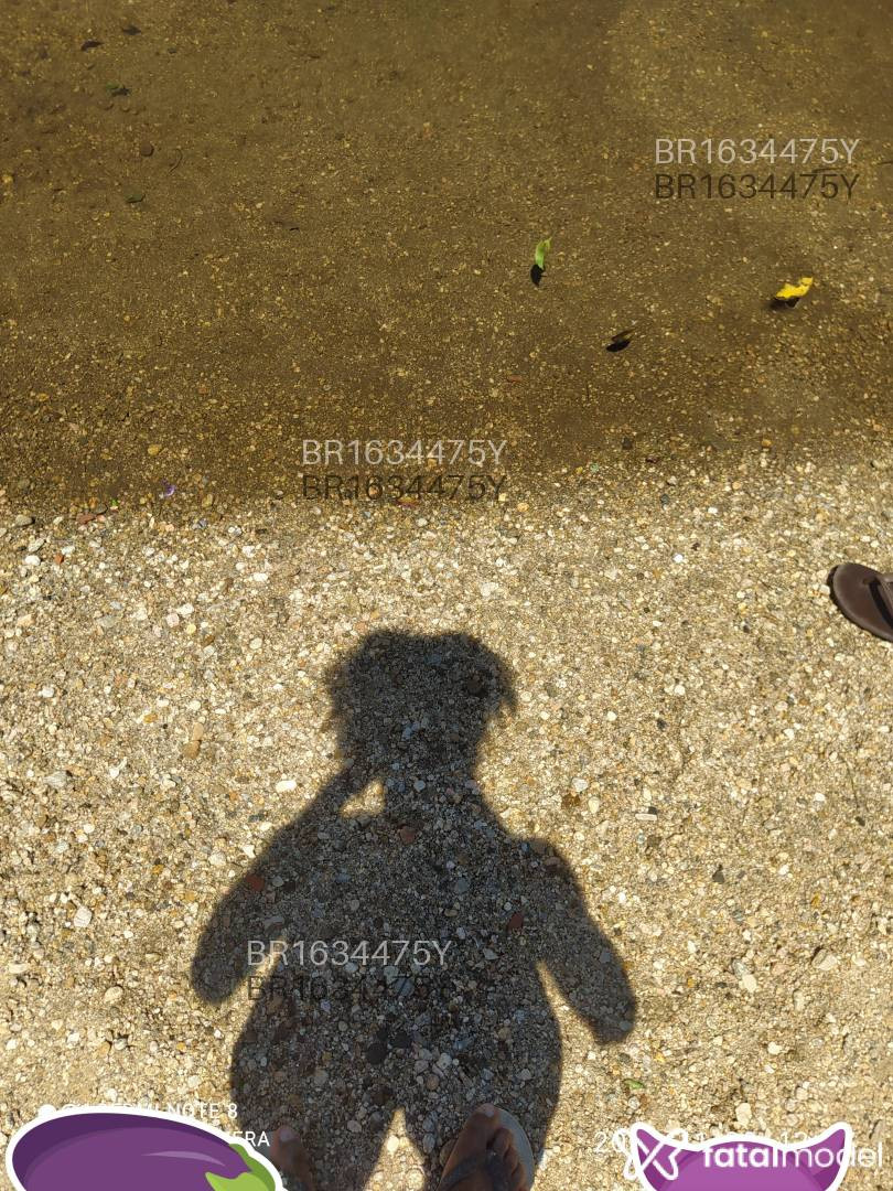 Acompanhante homem morena (o) de olhos pretos em Rio de Janeiro Acompanhante homem morena (o) de olhos pretos em Rio de Janeiro - Antony