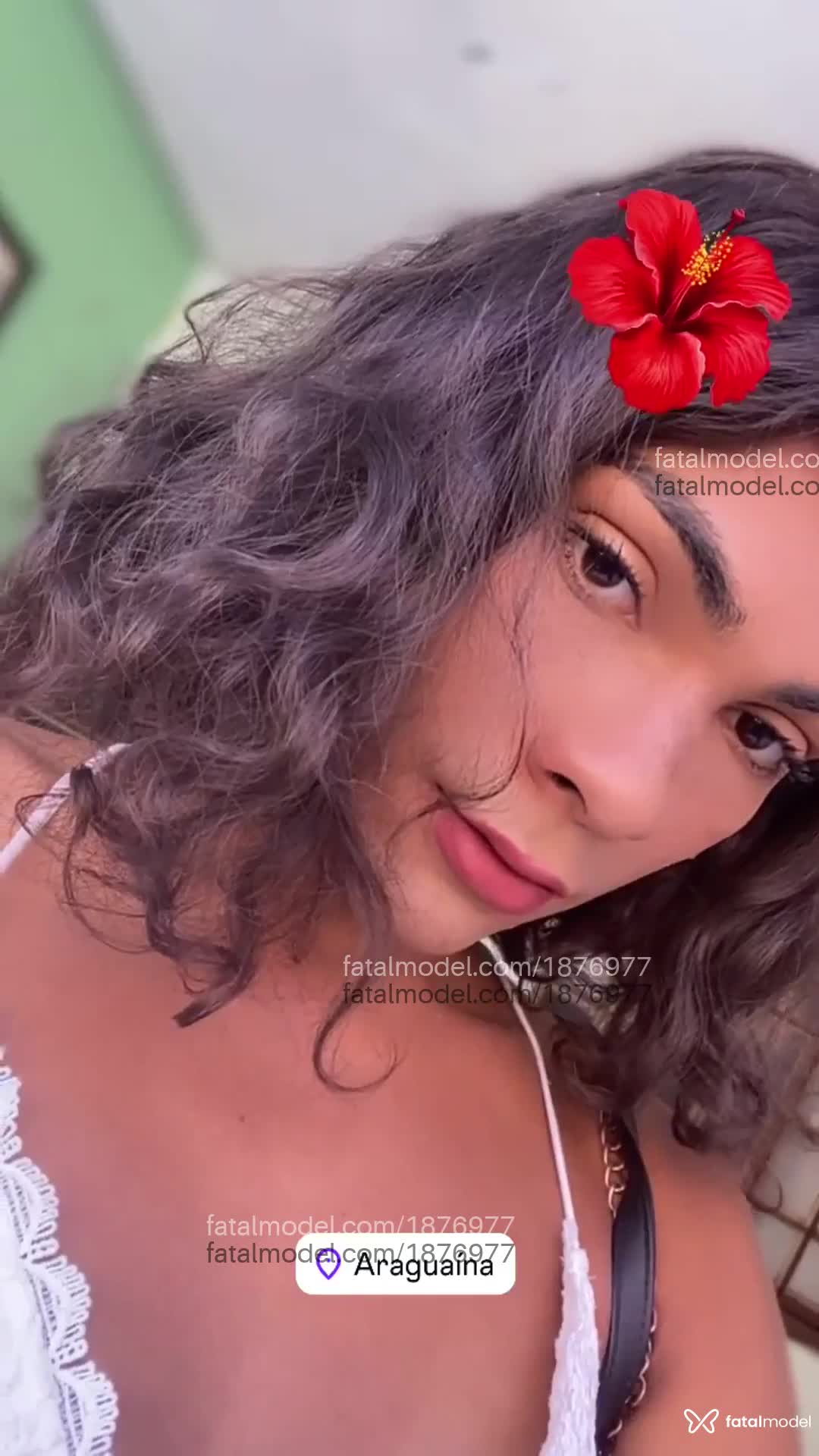 Acompanhante mulher trans morena (o) de olhos pretos em Araguaína - Aysha