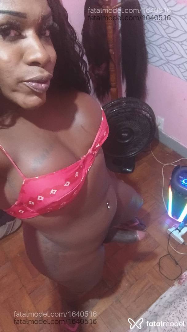Imagem 12