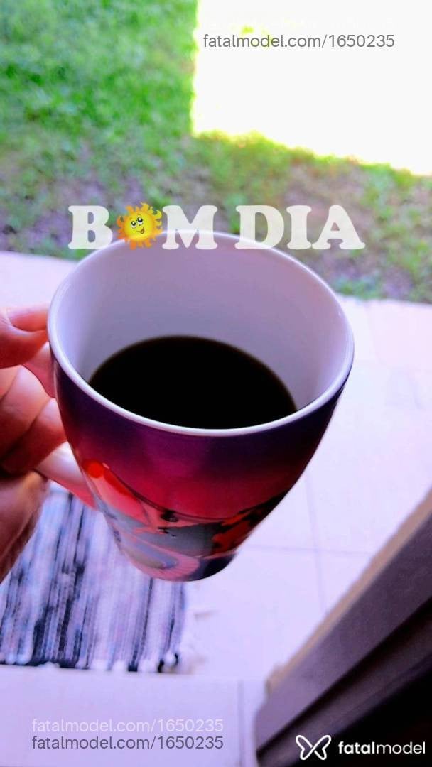 Imagem 12