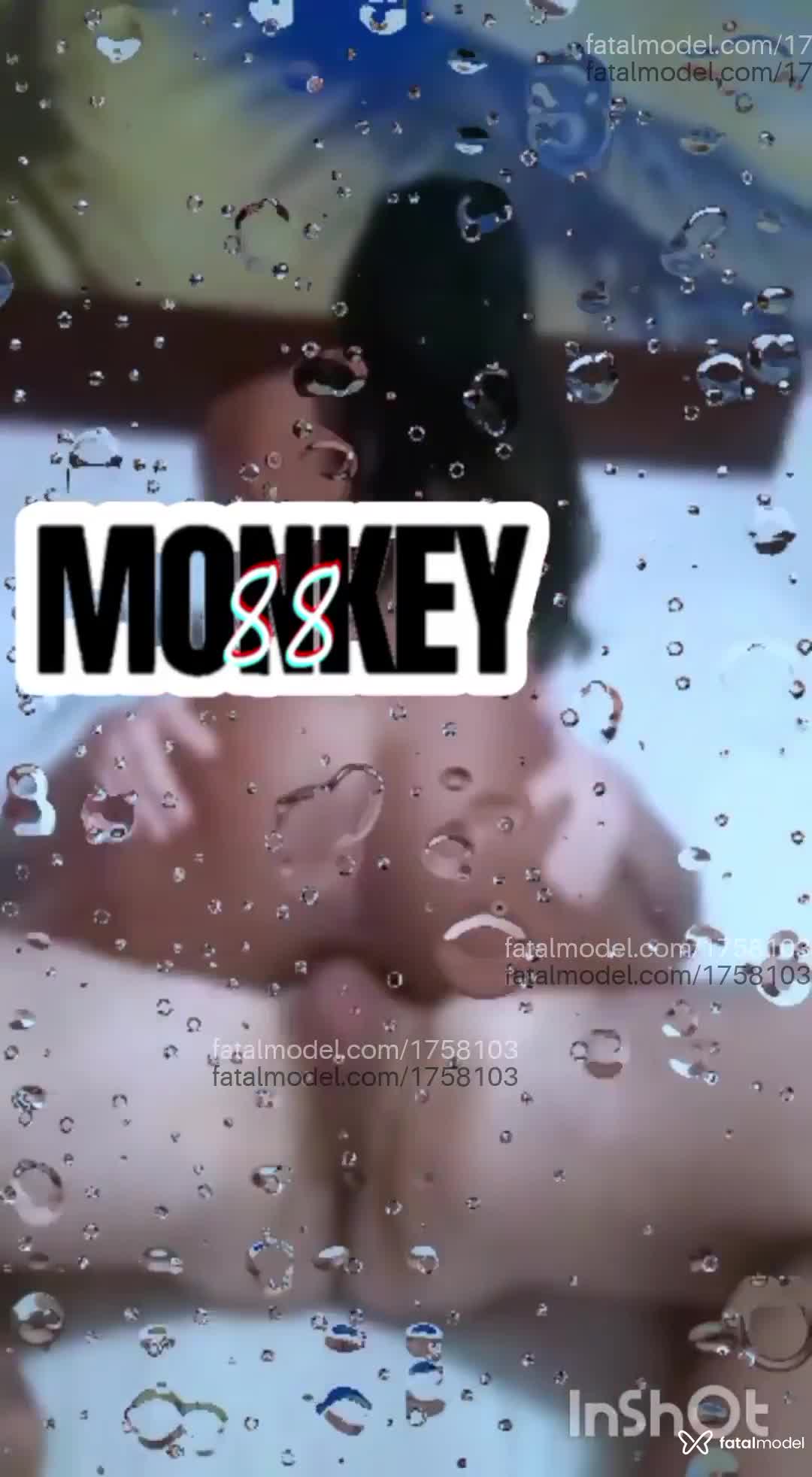 Acompanhante homem morena (o) de olhos castanhos em Salvador Acompanhante homem morena (o) de olhos castanhos em Salvador - Monkey