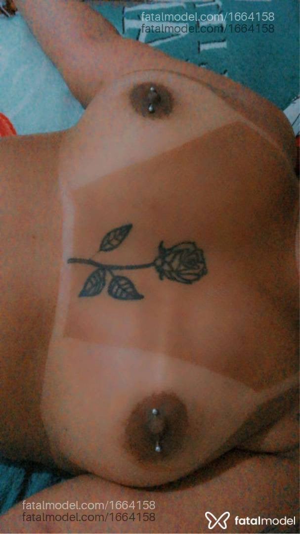 Acompanhante mulher morena (o) de olhos pretos em Chapecó - Lua bella