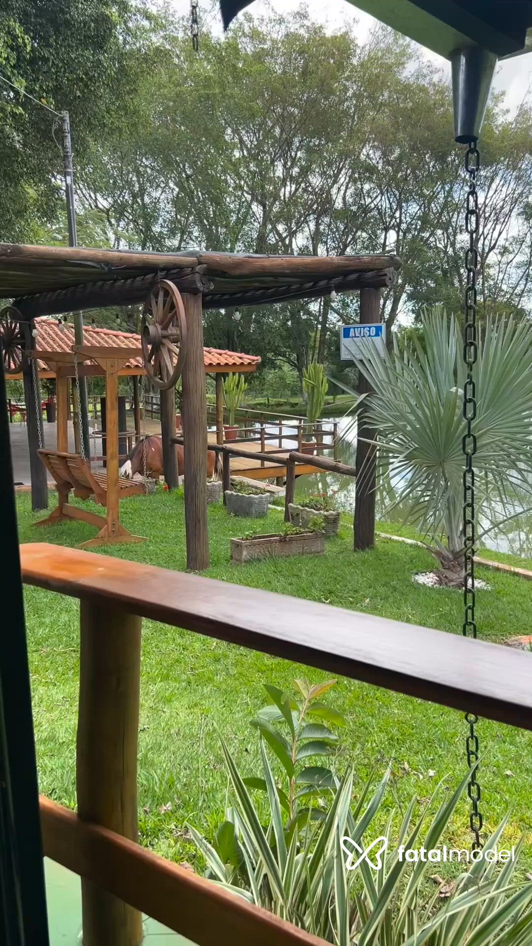 Vídeo 4