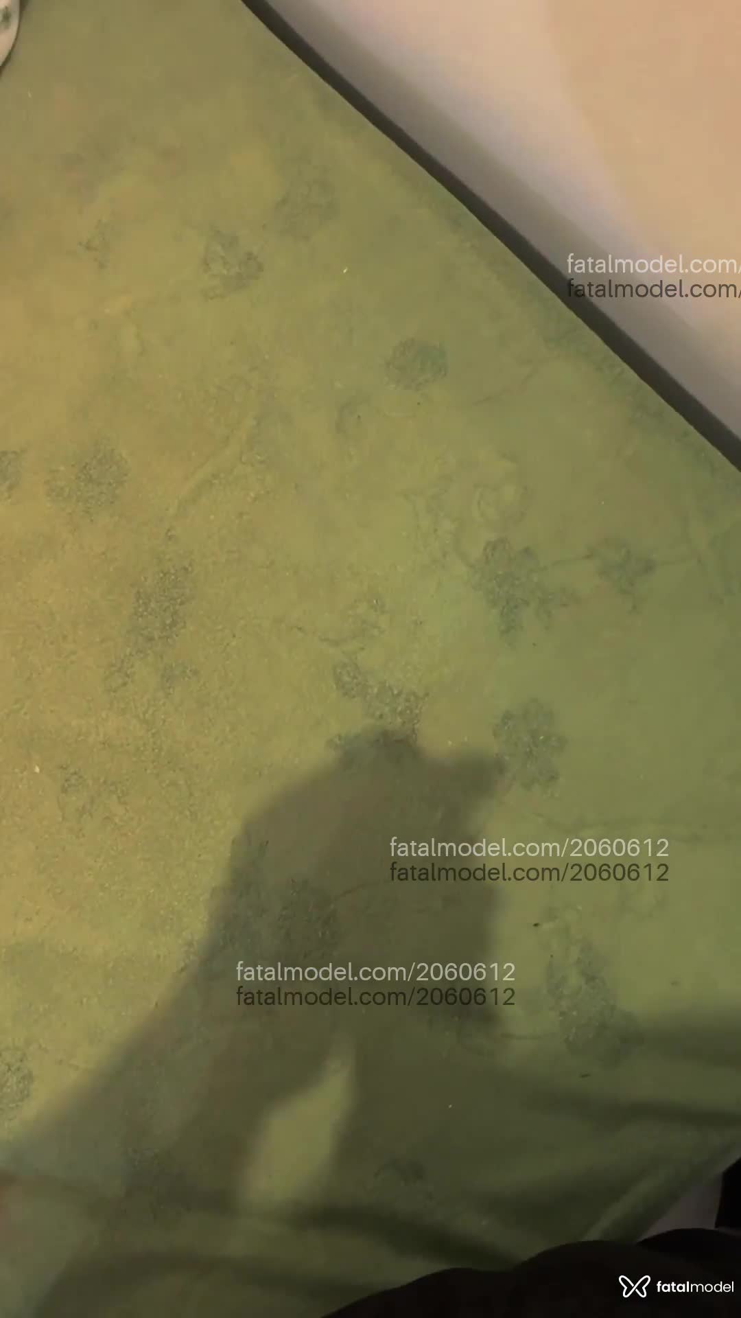 Acompanhante homem morena (o) de olhos pretos em Florianópolis - Raffe