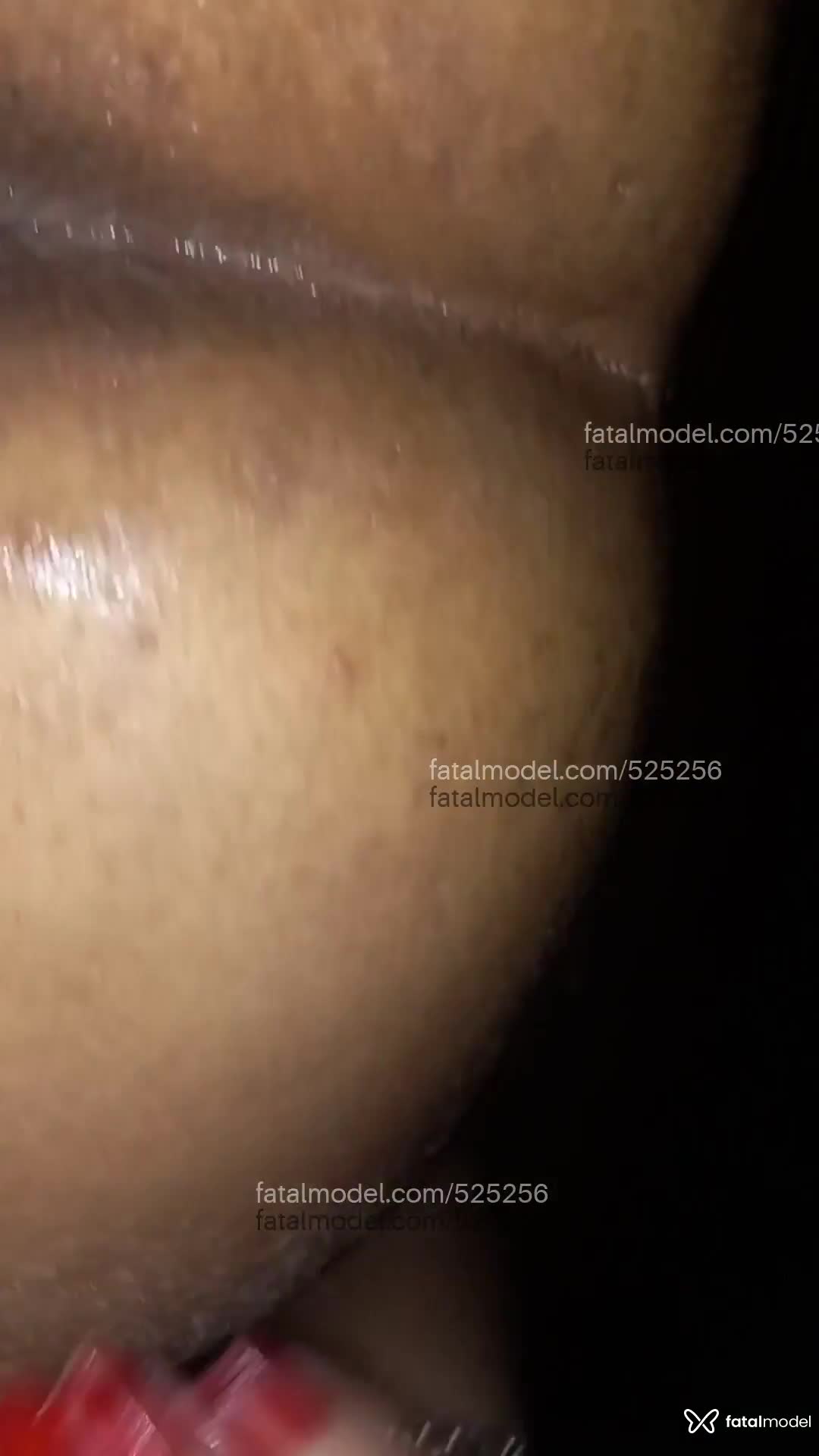 Acompanhante mulher trans morena (o) de olhos castanhos em Paraíso do Tocantins - Lêticia