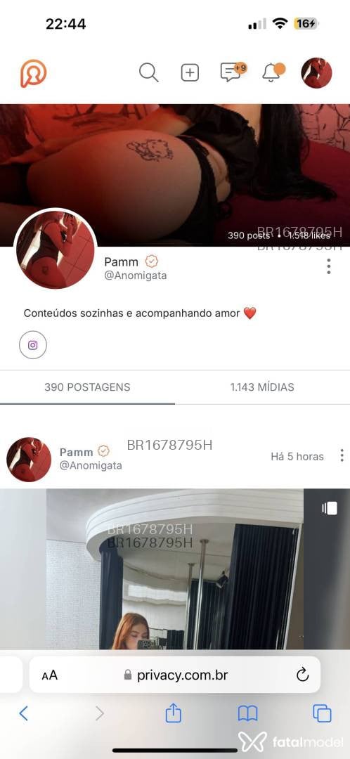 Acompanhante mulher ruiva (o) de olhos castanhos em São José do Rio Preto - Ágatha